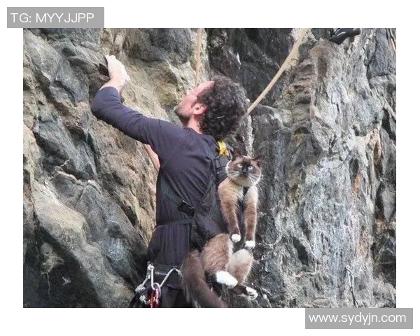 成都攀岩队意识对比深度剖析与训练策略探讨